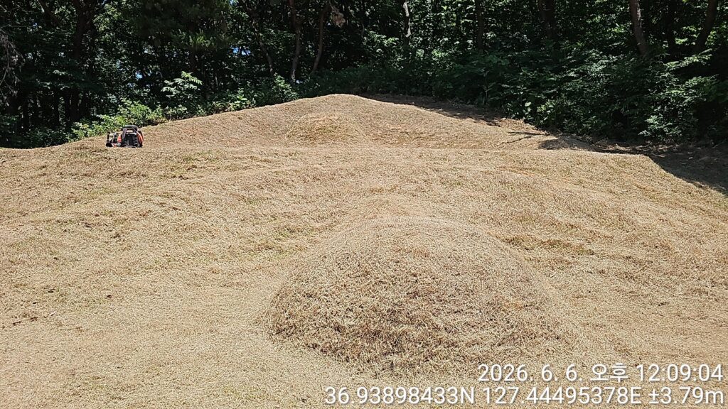 충청북도 진천군 벌초대행 완료 — 2026.06 after 0 1780716064363