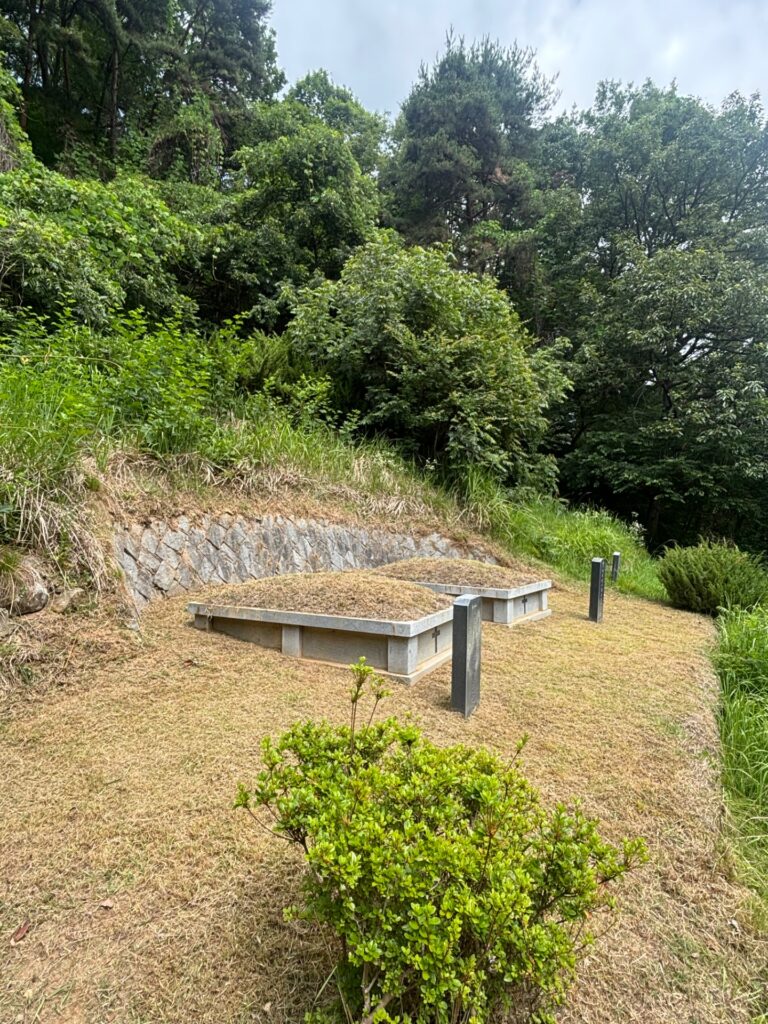 경상북도 칠곡군 산소벌초 완료 — 2026.06 after 0 1781748458347
