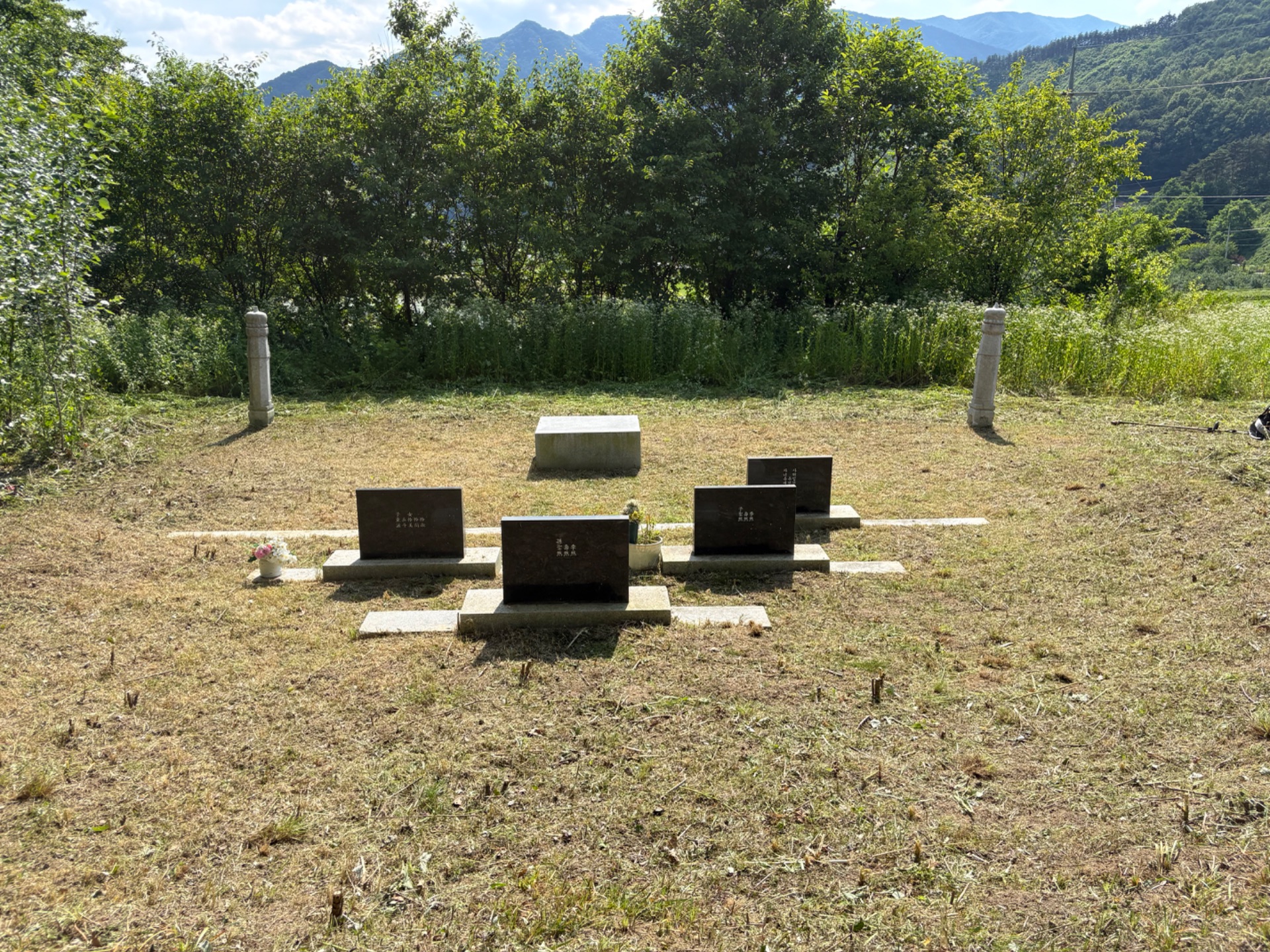 경상남도 함양군 벌초대행 완료 — 2026.06 After 2 1781506666336
