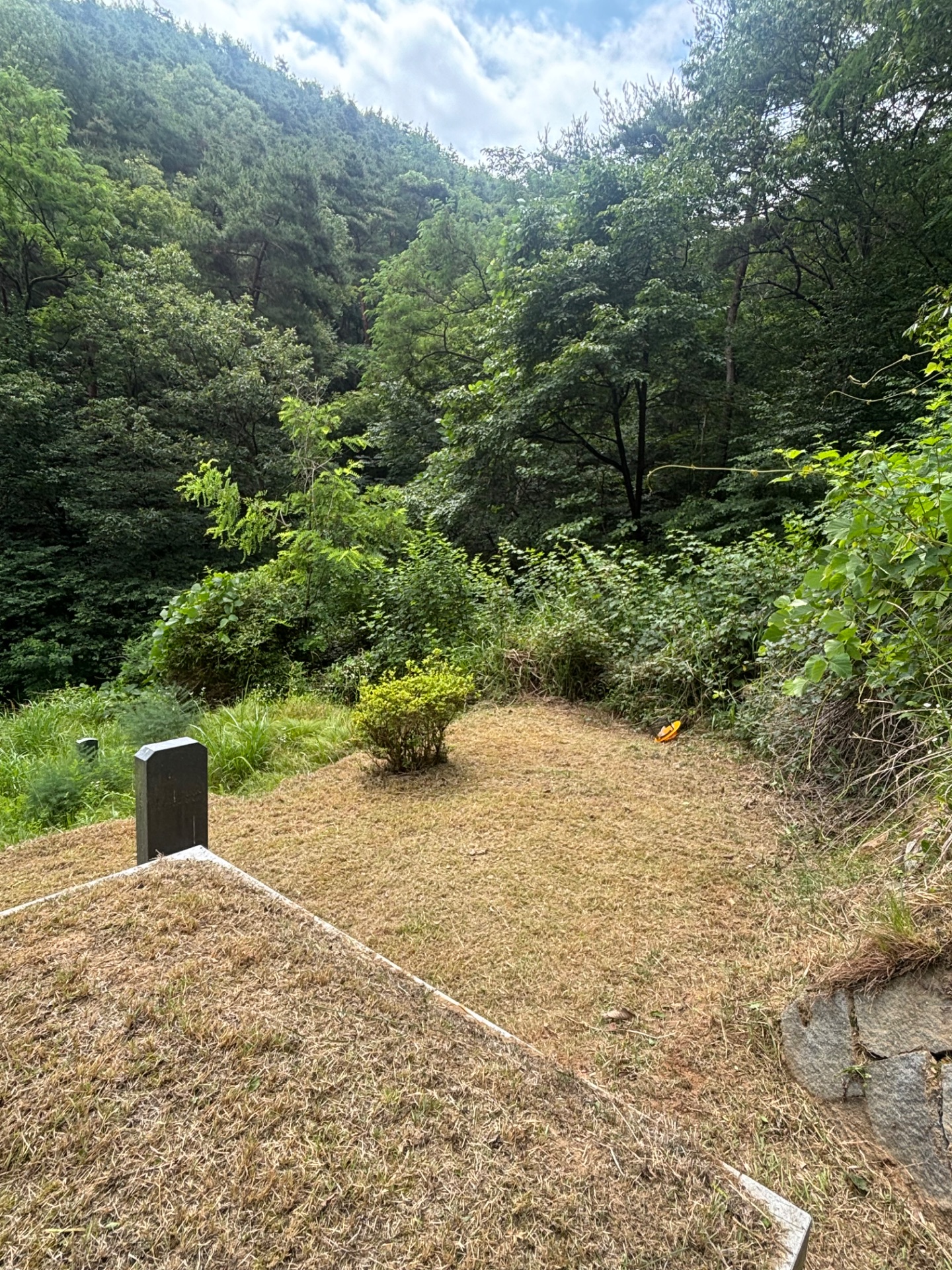 경상북도 칠곡군 산소벌초 완료 — 2026.06 After 2 1781748458360