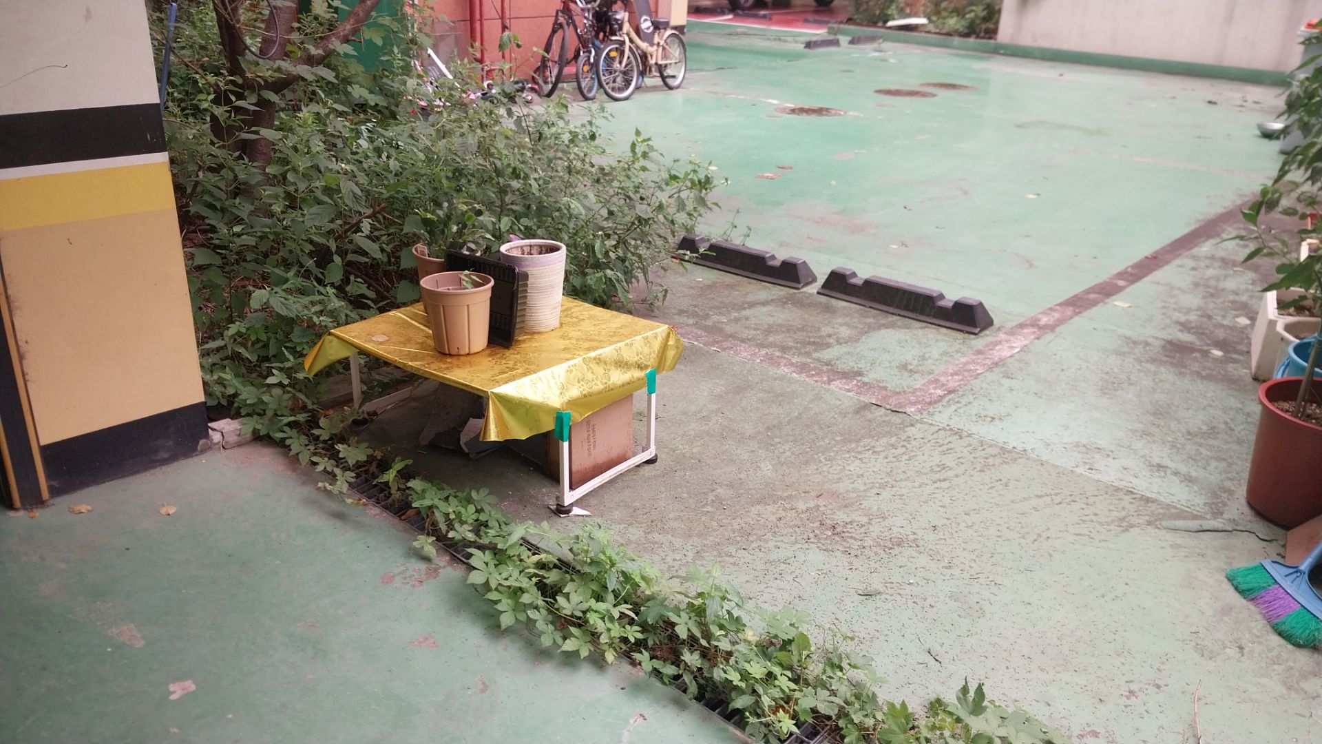 Before 0 1787116169984