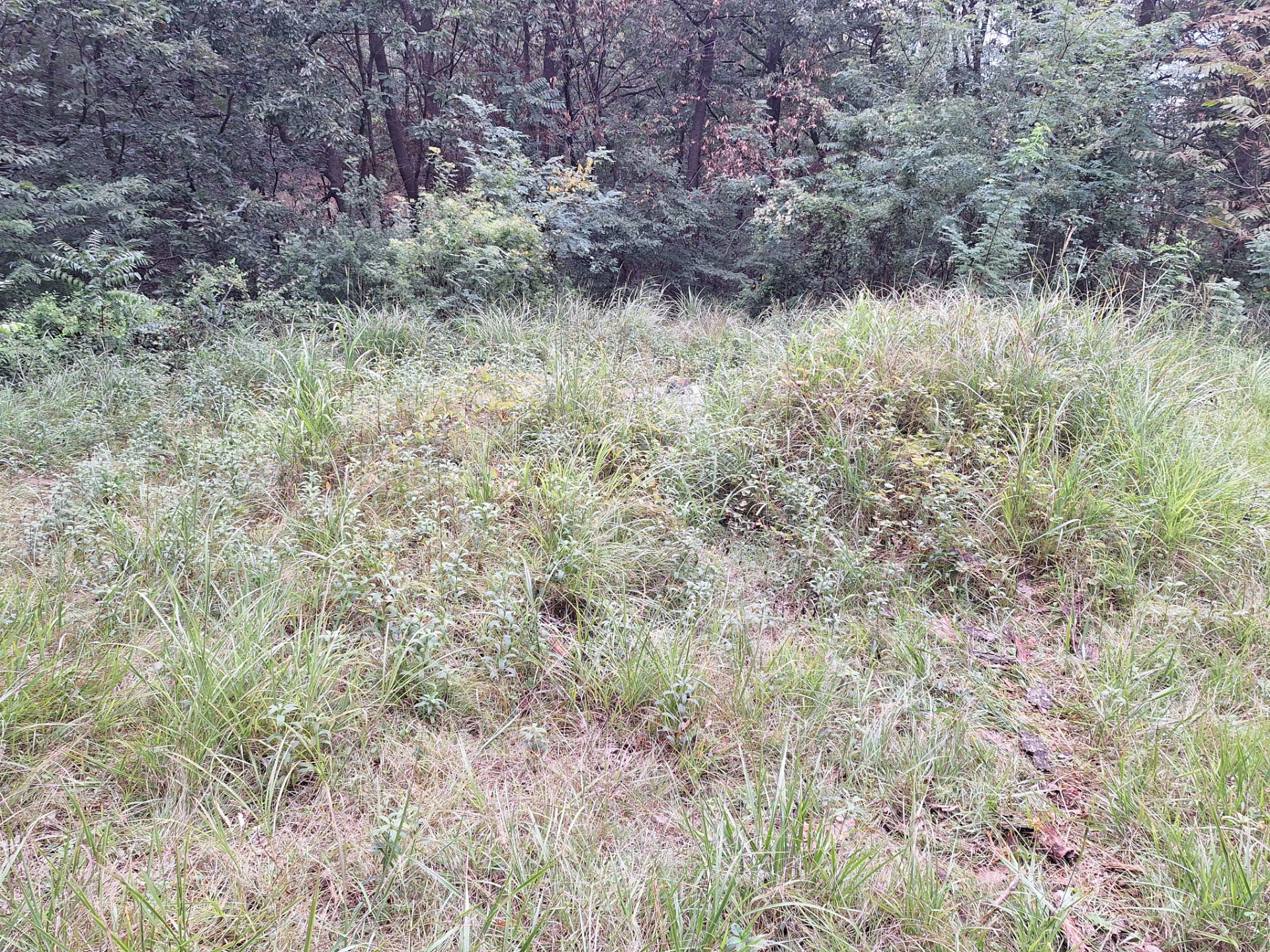 Before 2 1788410552708